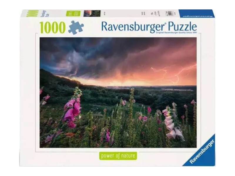 Puzzle 1000 db - Vihar előtt borítókép