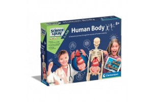 Emberi test tudományos készlet – doboz és alkatrészek