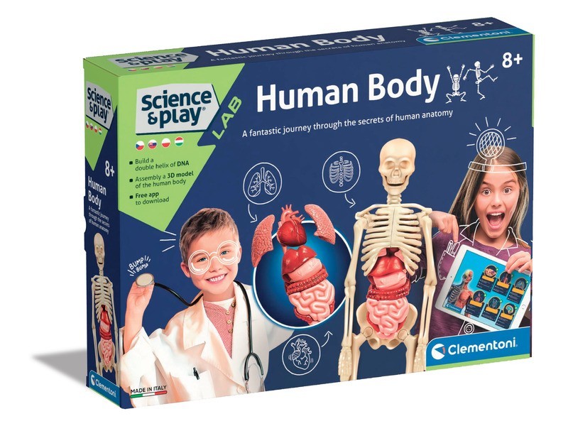 Emberi test tudományos készlet – doboz és alkatrészek