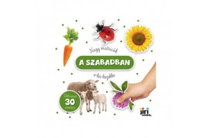 Nagy matricás könyv - A szabadban borító