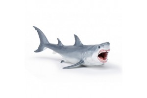 Megalodon – termékfotó