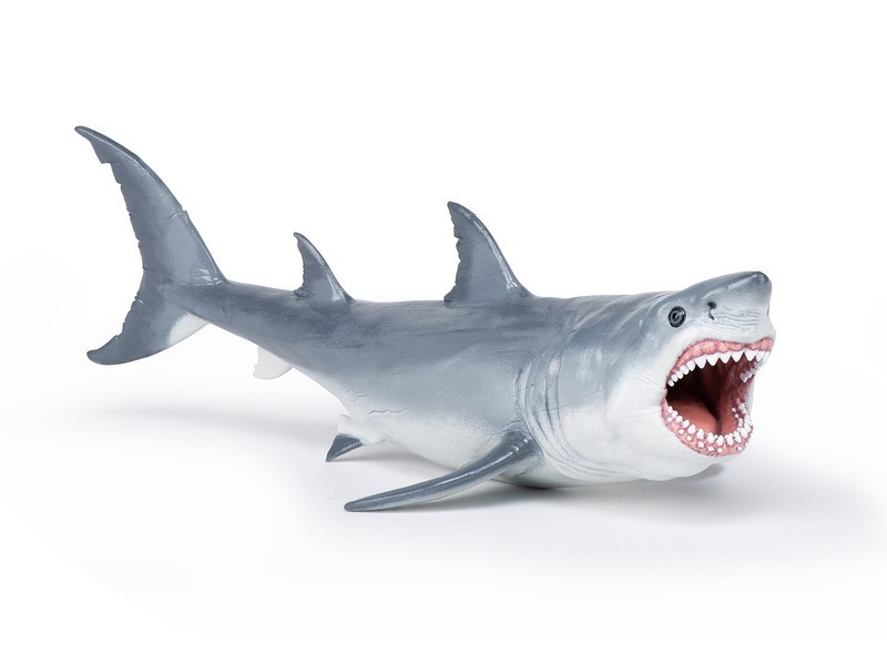 Megalodon – termékfotó