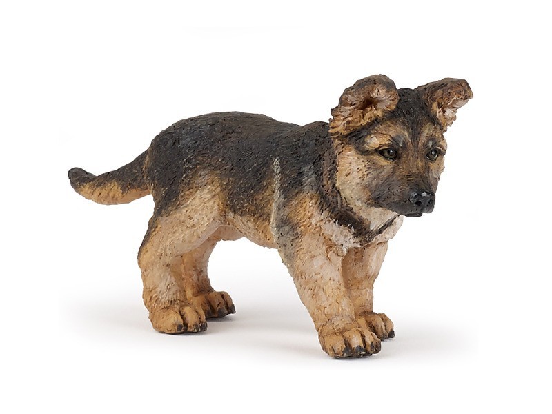 Német juhászkutya kölyök – játékos, egészséges