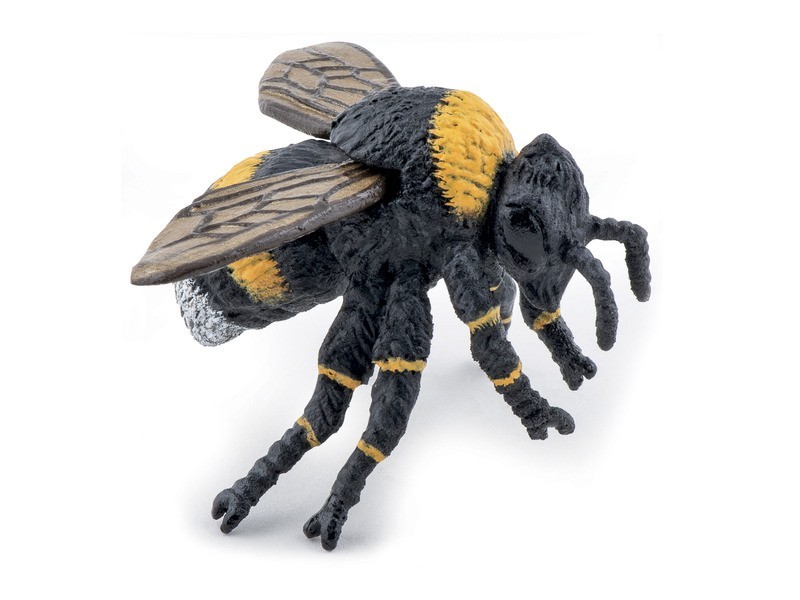 Dongó - termékfotó