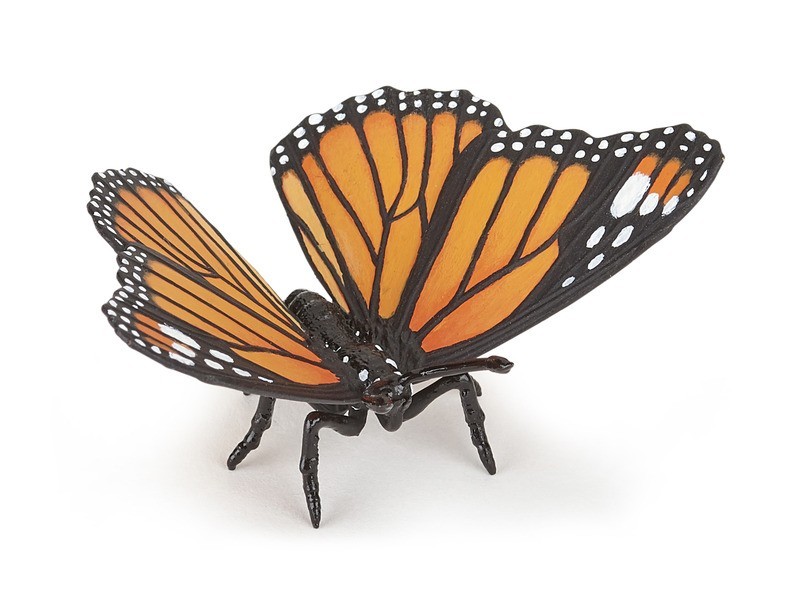 Pillangó dekoráció – elegáns dísz