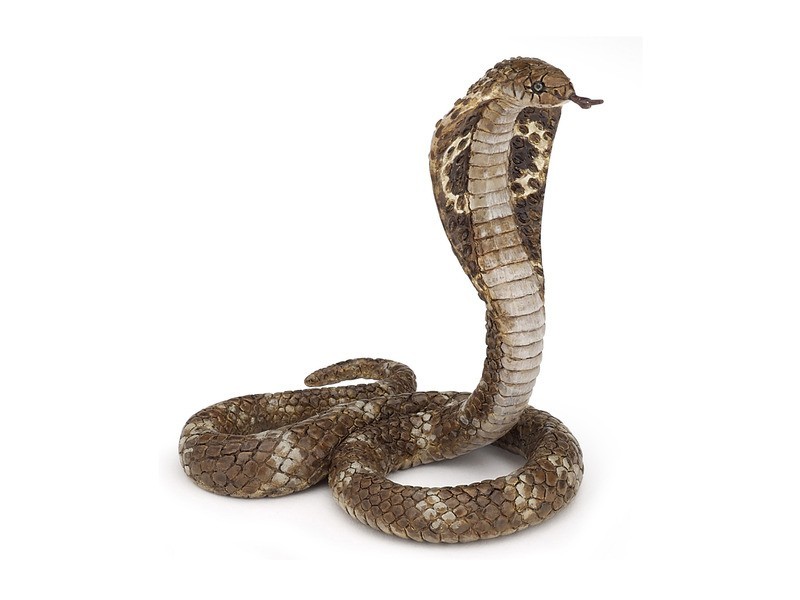Király kobra - élethű figura, részletes kivitel