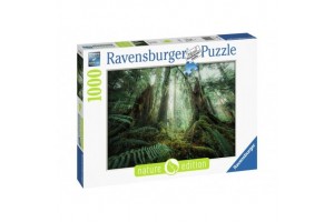 Puzzle 1000 db - Fák, részletgazdag kép