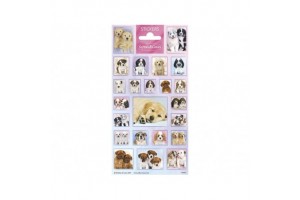 Matrica - Kutyusok: aranyos kutyás matrica