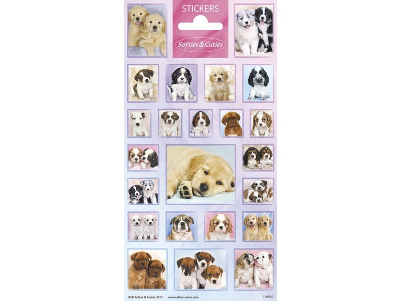 Matrica - Kutyusok: aranyos kutyás matrica