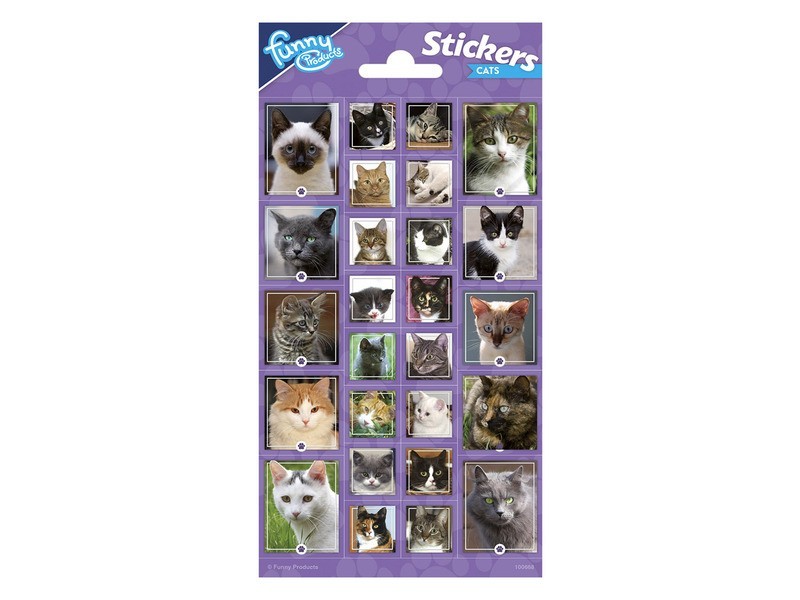 Matrica - Macskák (cicás dizájn)