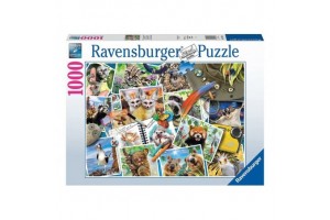 Puzzle 1000 db – Az utazó