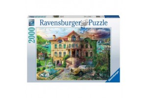 Cove Manor 2000 db puzzle