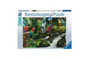 2000 db puzzle: színes papagájok
