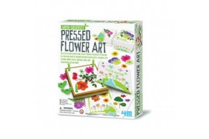 4M virágpréselő készlet – préselt virágok