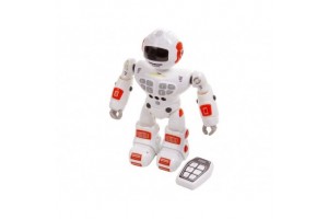 Rádiótávirányítású robot - többféle változat