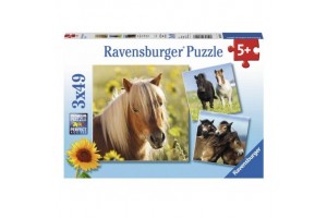 Puzzle - Szépséges lovak (3x49 db) 08011