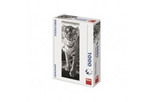 Dino Puzzle 1000 db panoráma - tirgis