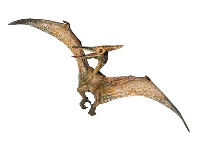 Papo pteranodon dínó 55006 – részletgazdag figura kép