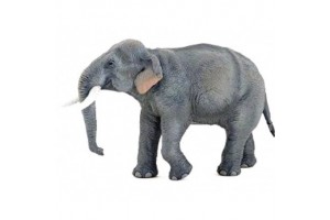 Papo indiai elefánt 50131 - részletgazdag figura