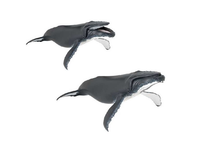 Papo hosszúszárnyú bálna (56001)