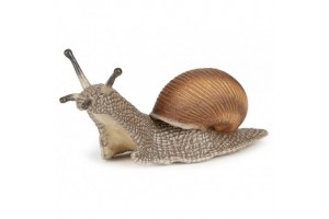 Csiga 50262 - termékkép