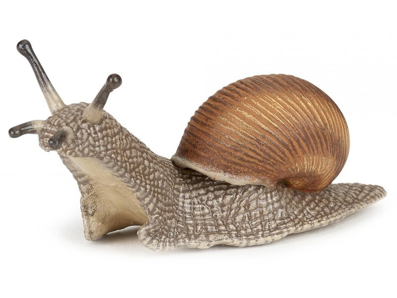 Csiga 50262 - termékkép