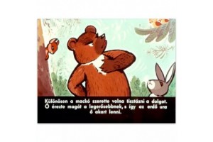 A nagyhatalmú sündisznócska diafilm borító