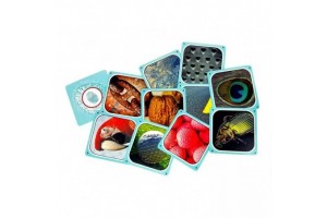 Cortex 2 társasjáték doboz és kártyák