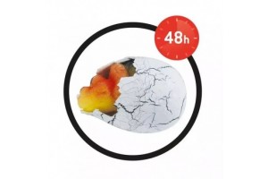 Buki Varázs tojás — növekvő dínó (6 féle)