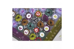 Castle of Mind Wyvern társasjáték - doboz és játékelemek