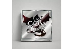 Castle of Mind Wyvern társasjáték - doboz és játékelemek