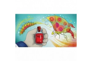 Rumini és a Fabatkák diafilm borító