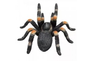 Mojo Vöröstérdű tarantula figura - élethű részletek