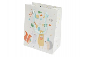 Gyerekmintás papírtasak 18x23 cm, vegyes színek