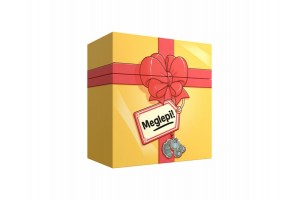 Meglepi! társasjáték doboza