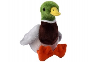 Vadkacsa plüssfigura 15 cm, zöld fej, sárga csőr