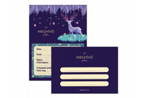 Parti meghívó borítékkal - többféle minta