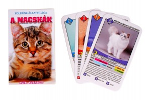 Macskák - fényképes ismeretterjesztő kártya