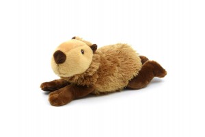 Kapibara 20 cm plüss - cuki vízidisznó