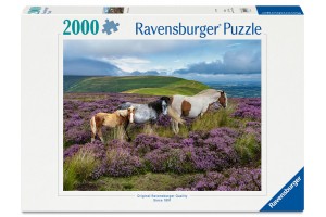 Puzzle 2000 db - Vadlovak a mezőn