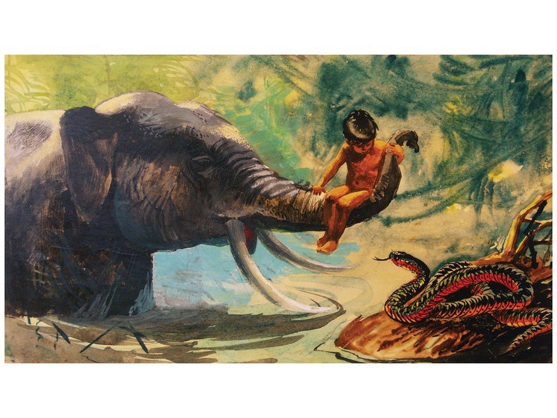 Maugli - A farkasok fia diafilm borító