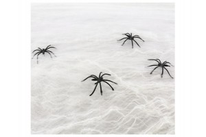 Fehér pókháló 20 g – dekoráció