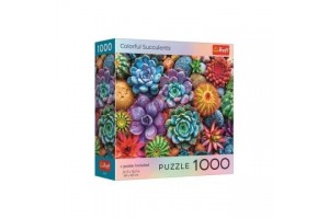 Színes pozsgások – 1000 db puzzle (68x48 cm)