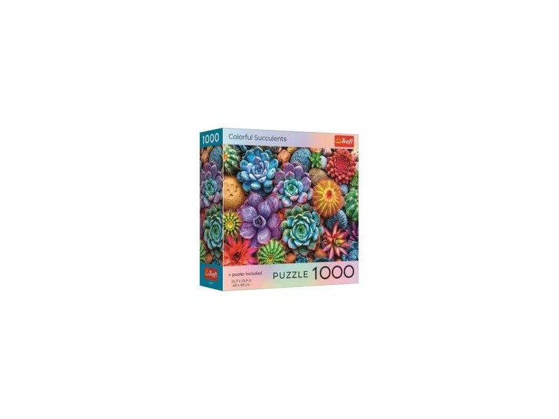 Színes pozsgások – 1000 db puzzle (68x48 cm)