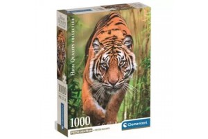 HQC Támadó tigris 1000 db - 50×70 cm poszterrel