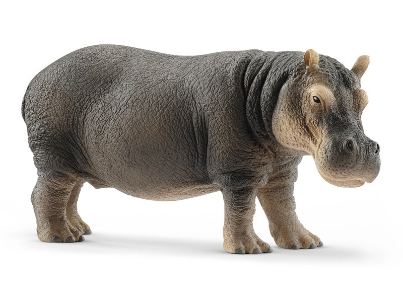 Schleich Wild Life víziló figura