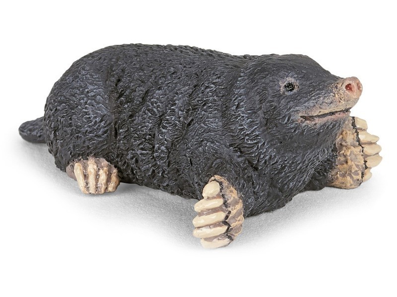 Vakond 50265 termékfotó