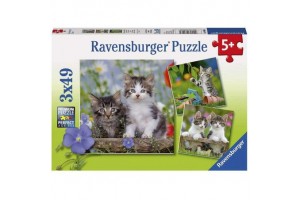 Édes kiscicák - 3x49 darabos puzzle