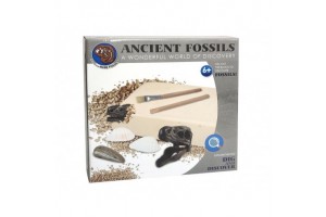Régész szett - fosszíliák gyerekeknek (6+)