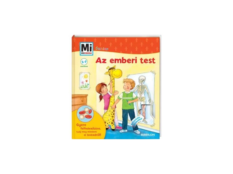 Junior Az emberi test - borító, kukucskáló ablakok